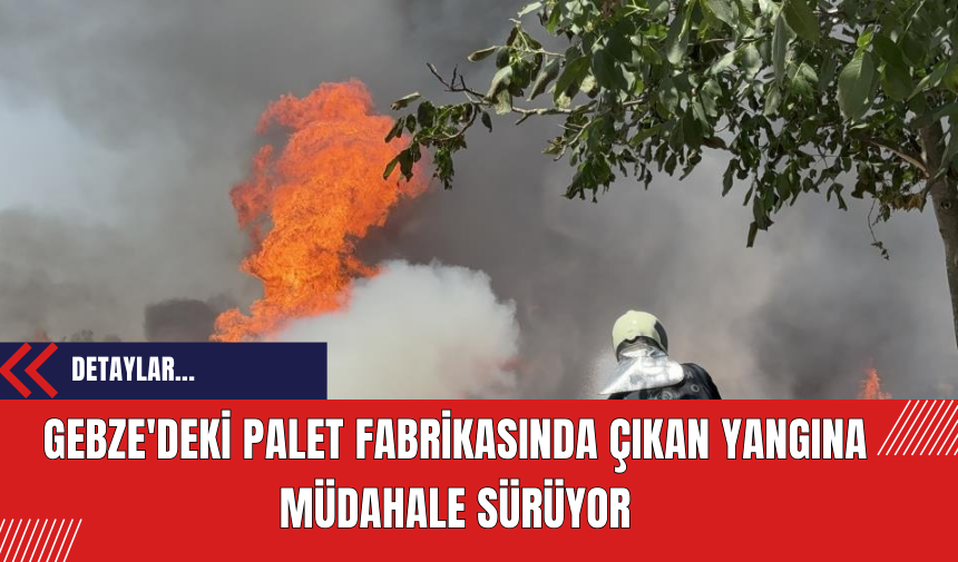 Gebze'deki Palet Fabrikasında Çıkan Yangına Müdahale Sürüyor