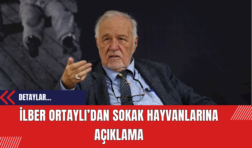 İlber Ortaylı’dan sokak hayvanları için açıklama