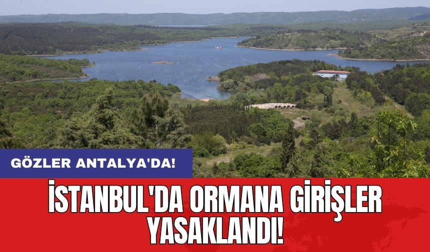 İstanbul'da ormana girişler yasaklandı! Gözler Antalya'da!