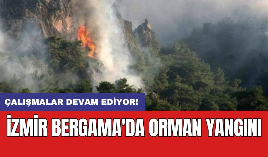 İzmir Bergama'da orman yangını