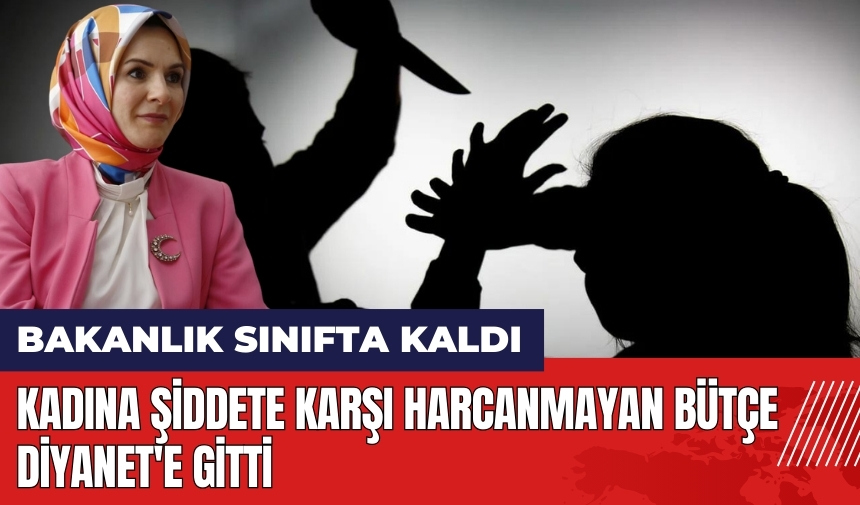 Kadına şiddete karşı harcanmayan bütçe Diyanet'e gitti