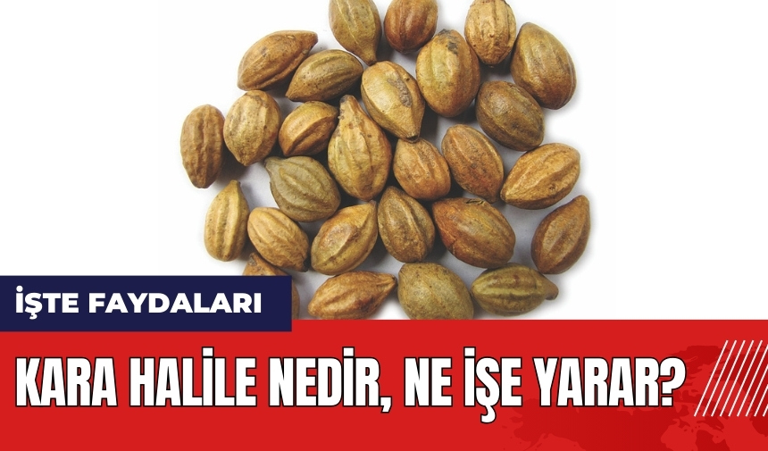 Kara Halile nedir ne işe yarar?