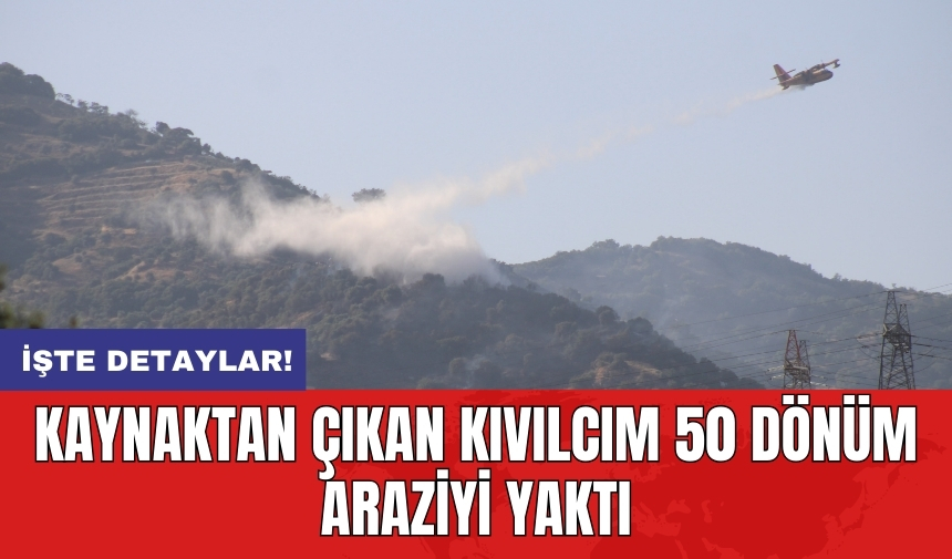 Kaynaktan çıkan kıvılcım 50 dönüm araziyi yaktı