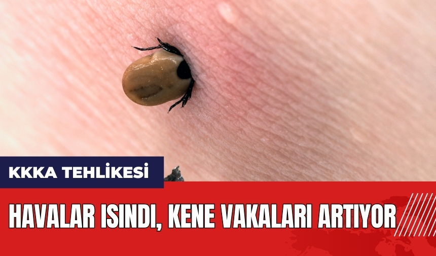 KKKA tehlikesi! Havalar ısındı kene vakaları artıyor