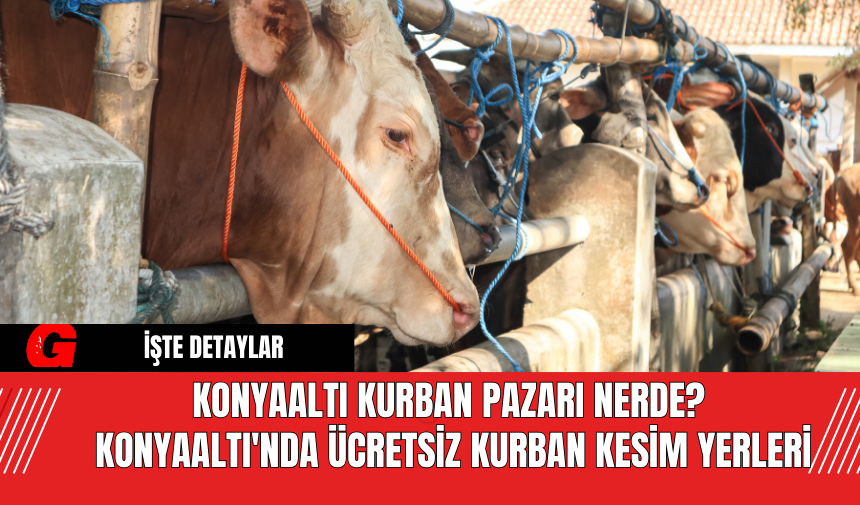 Konyaaltı Kurban Pazarı Nerde? Konyaaltı'nda Ücretsiz Kurban Kesim Yerleri