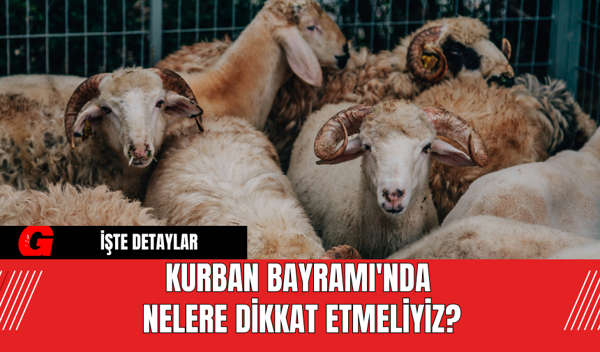 Kurban Bayramı'nda Nelere Dikkat Etmeliyiz?