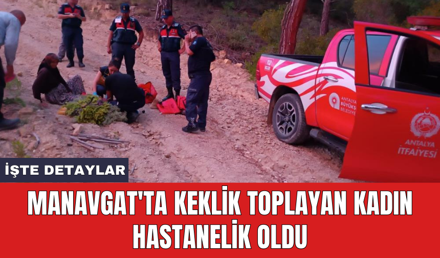 Manavgat'ta keklik toplayan kadın hastanelik oldu