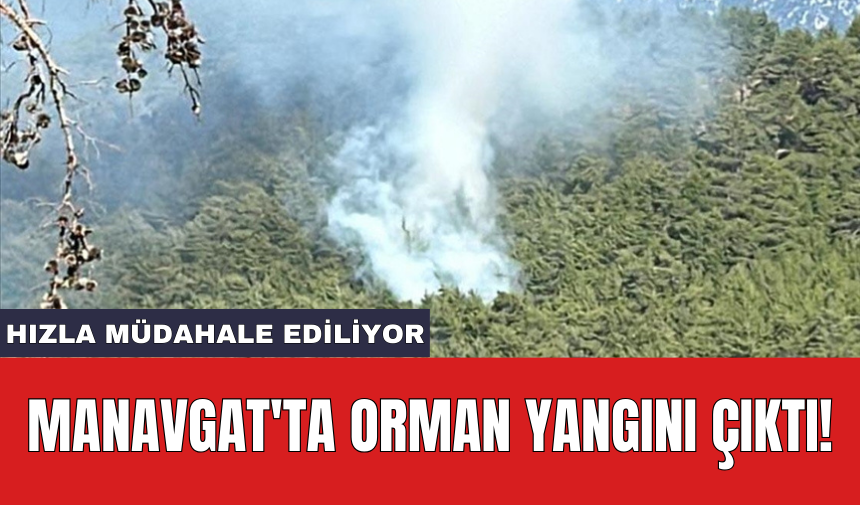 Manavgat'ta orman yangını çıktı!