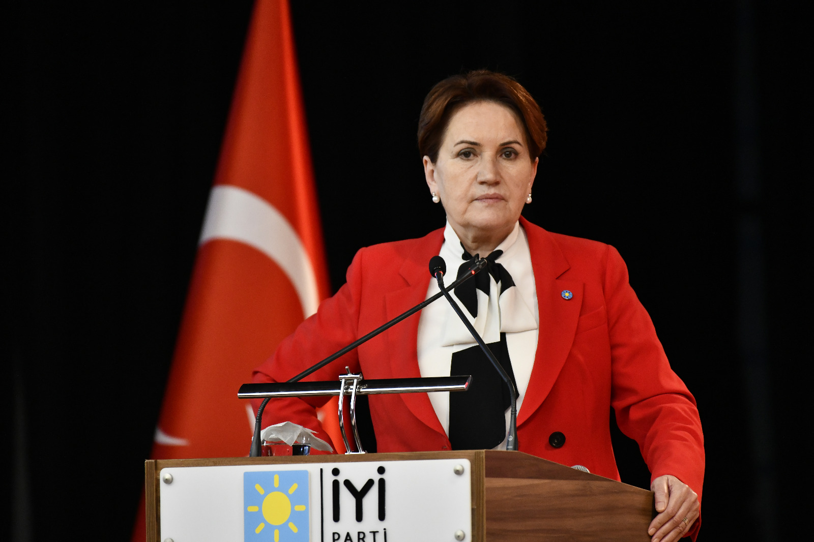 Meral Akşener kimdir? Nereli kaç yaşında? Meral Akşener'in hayatı