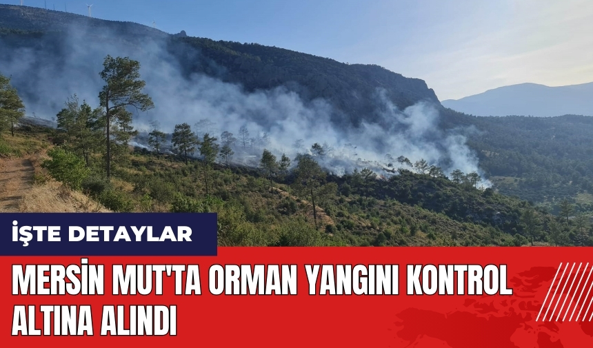 Mersin Mut'ta orman yangını kontrol altına alındı