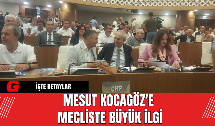 Mesut Kocagöz'e Mecliste Büyük İlgi