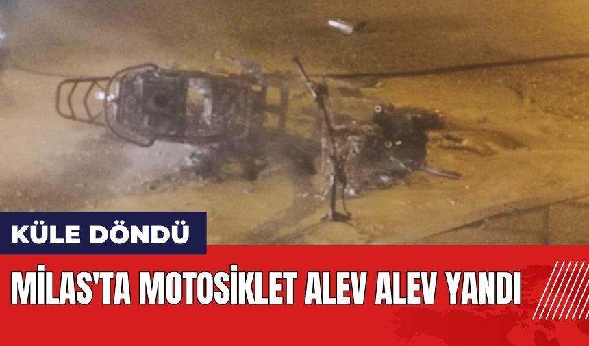 Muğla Milas'ta motosiklet alev alev yandı