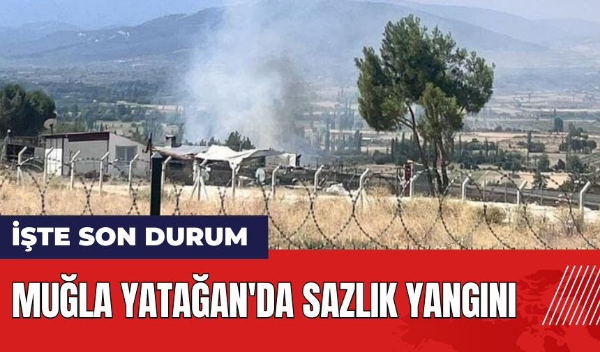 Muğla Yatağan'da sazlık yangını