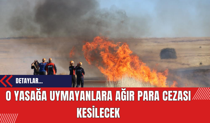 O yasağa uymayanlara ağır para cezası kesilecek