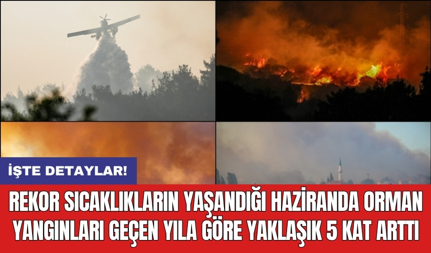 Rekor sıcaklıkların yaşandığı haziranda orman yangınları geçen yıla göre yaklaşık 5 kat arttı