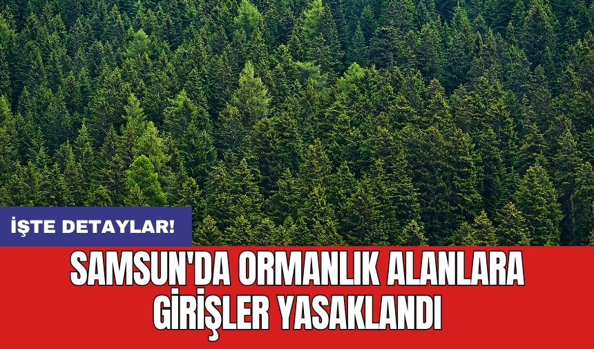 Samsun'da ormanlık alanlara girişler yasaklandı