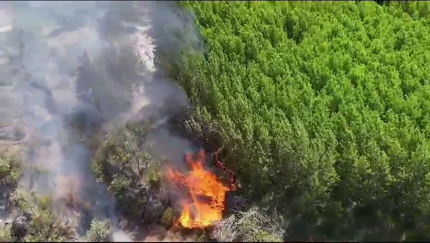 Sazlık Alanda Çıkan Yangın Ormanlık Alana Sıçramadan 7 Saatte3