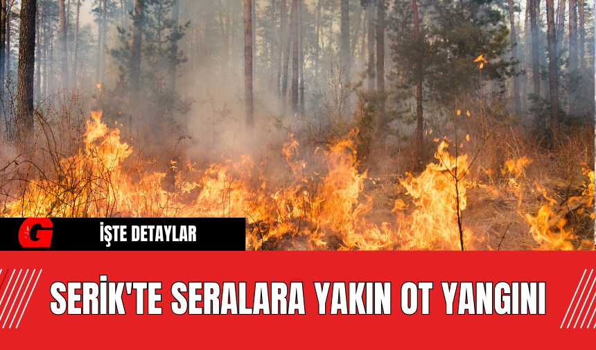 Serik'te Seralara Yakın Ot Yangını