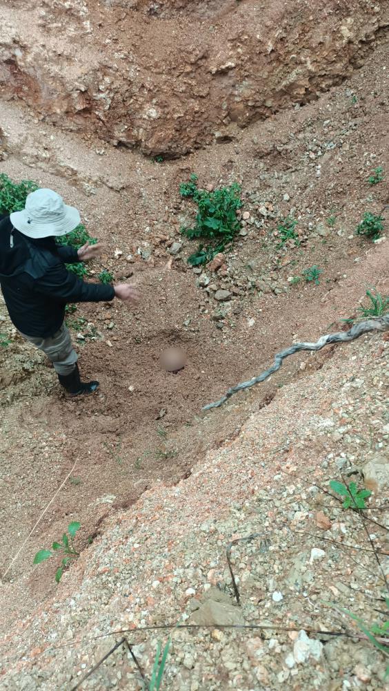 Sevgililer Gününde Canice Öldürülen Genç Kız ‘Tetikçi' Çıktı6