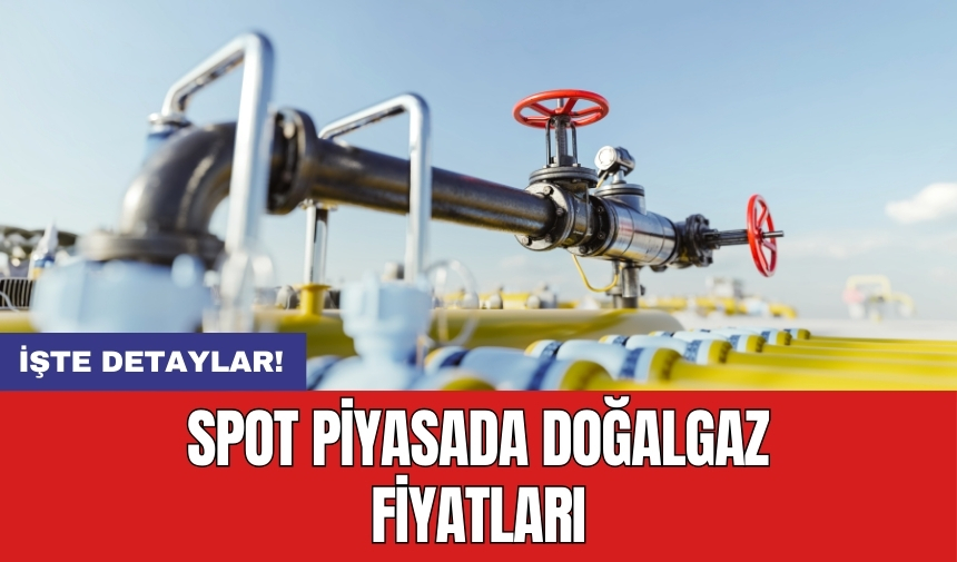 Spot piyasada doğalgaz fiyatları