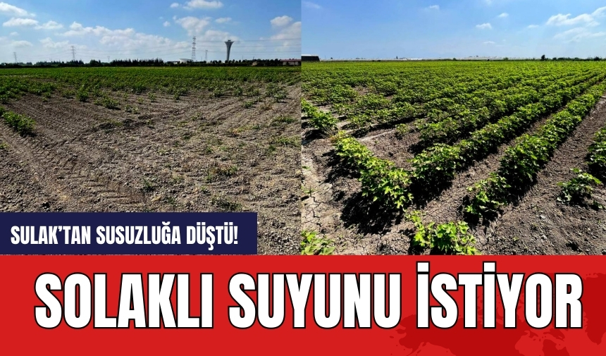 Sulak’tan susuzluğa düştü! Solaklı suyunu istiyor