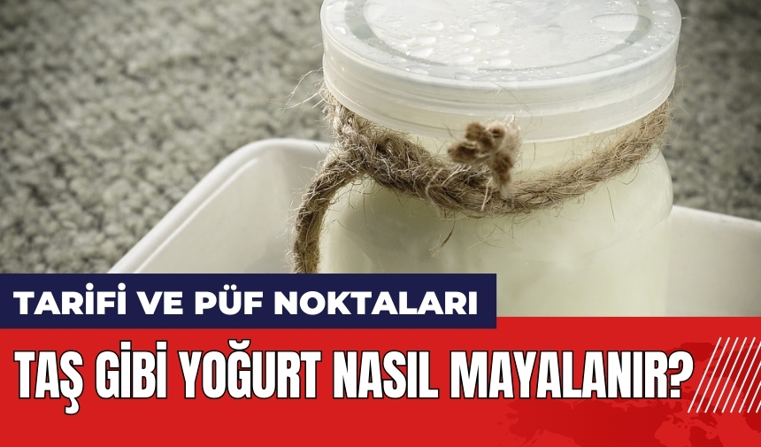 Taş gibi yoğurt nasıl mayalanır? Taş gibi yoğurt tarifi