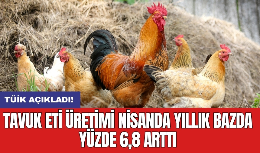 Tavuk eti üretimi nisanda yıllık bazda yüzde 6,8 arttı