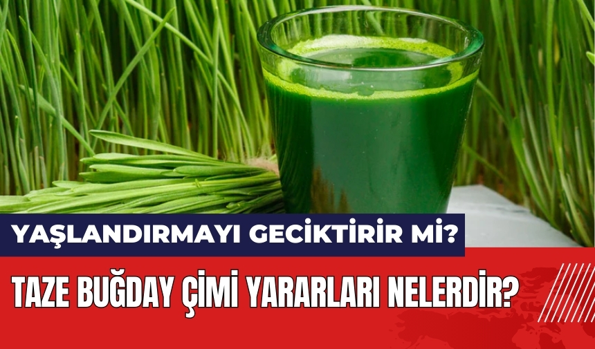 Taze buğday çimi yaşlandırmayı geciktirir mi? Taze buğday çimi yararları nelerdir?