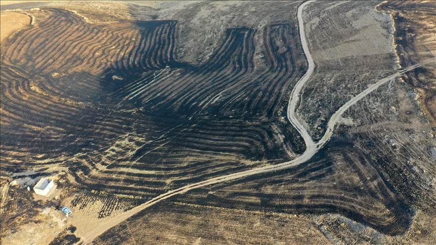 Diyarbakır ve Mardin'de anız yangını: 5 ölü 44 yaralı