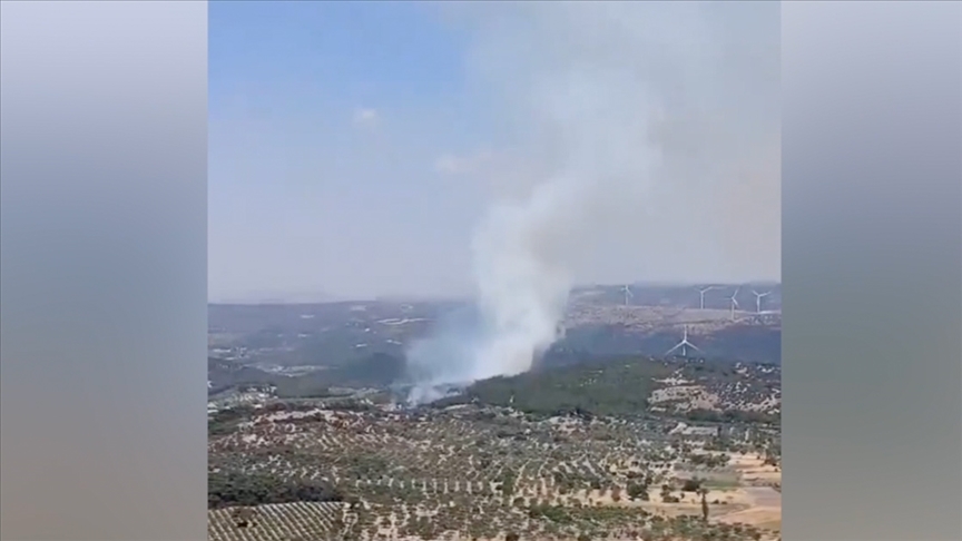 İzmir Bergama'da orman yangını