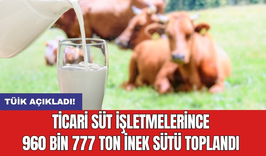 Ticari süt işletmelerince 960 bin 777 ton inek sütü toplandı