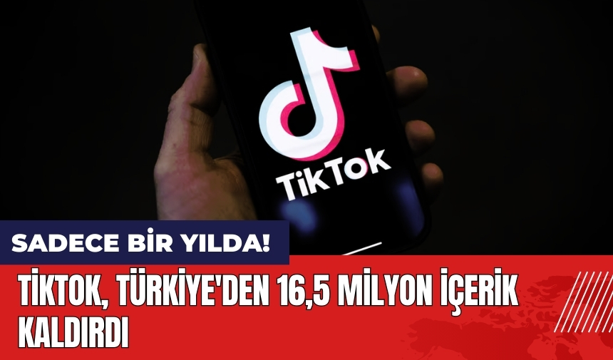 TikTok Türkiye'den 16,5 milyon içerik kaldırdı