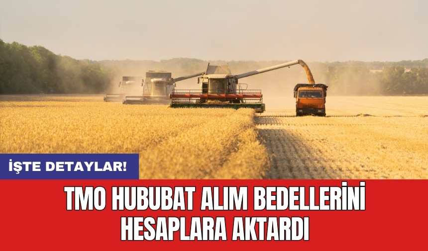 TMO hububat alım bedellerini hesaplara aktardı