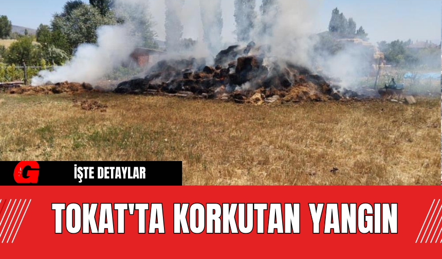 Tokat'ta Korkutan Yangın