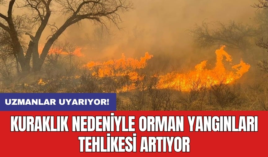 Uzmanlar uyarıyor: Kuraklık nedeniyle orman yangınları tehlikesi artıyor