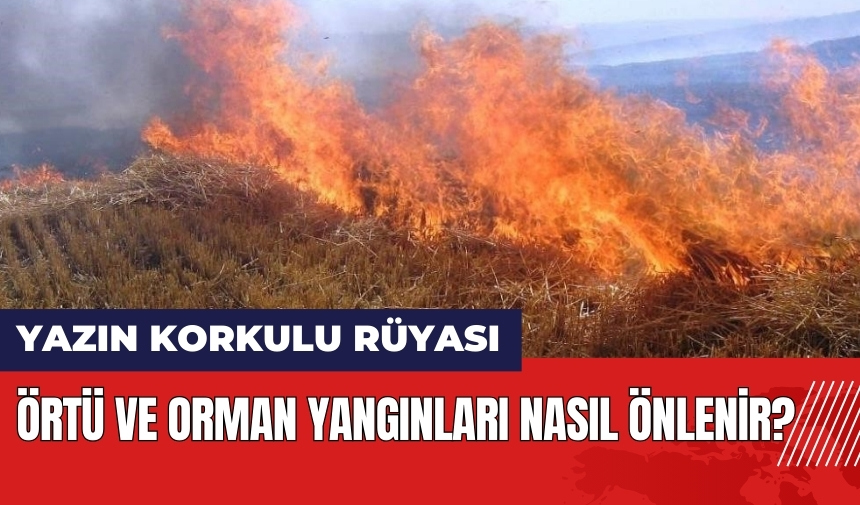 Yazın korkulu rüyası örtü ve orman yangınları nasıl önlenir?