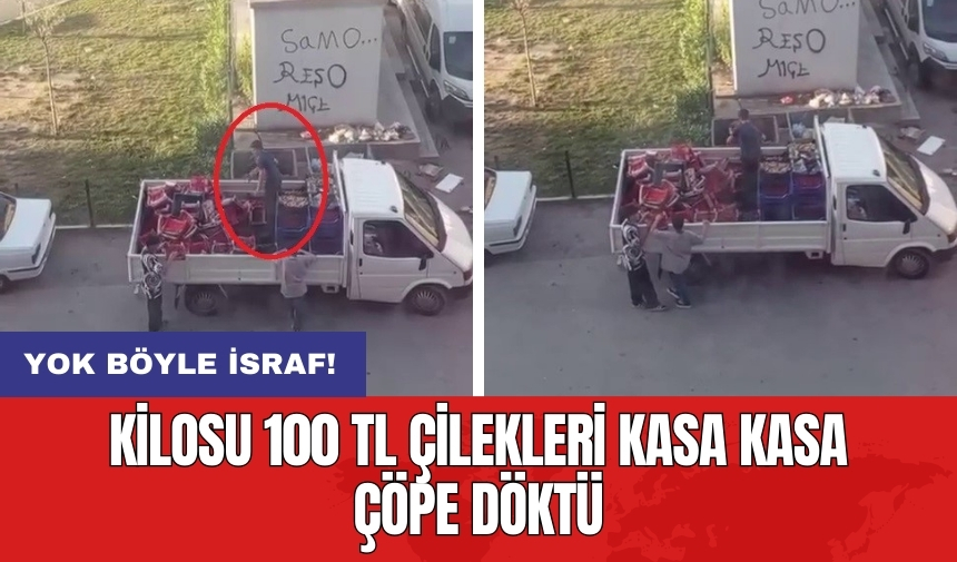 Yok böyle israf! Kilosu 100 TL çilekleri kasa kasa çöpe döktü