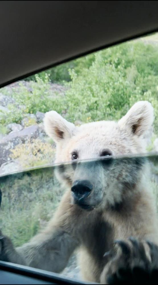 Nemrut'ta ziyaretçiler korku dolu anlar yaşadı