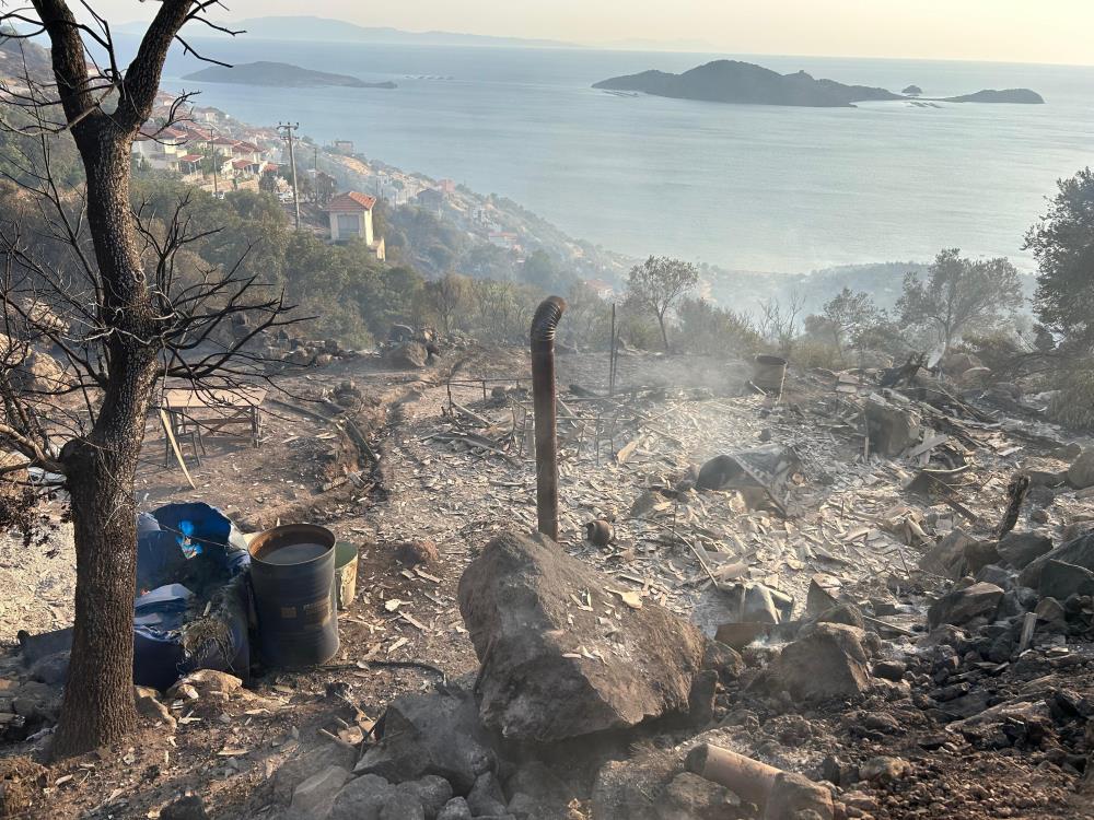 İzmir'de çıkan yangında bağ evi küle döndü