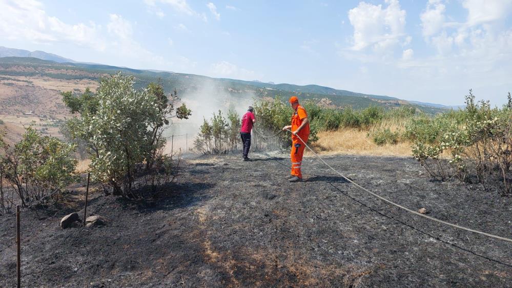 Bingöl’de orman ve kırsal alan yangınları kontrol altına alındı