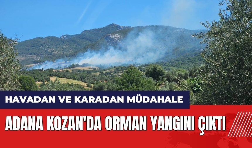 Adana Kozan'da orman yangını çıktı