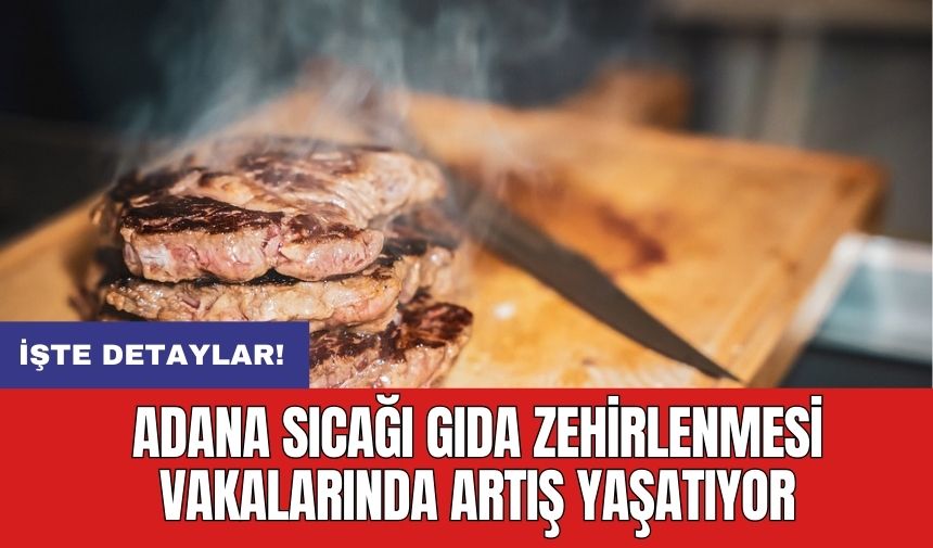 Adana Sıcağı Gıda Zehirlenmesi Vakalarında Artış Yaşatıyor