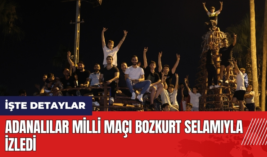 Adanalılar Milli maçı bozkurt selamıyla izledi