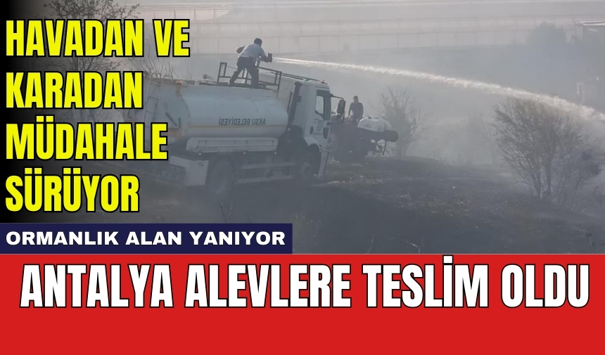 Antalya alevlere teslim oldu: Ormanlık alan yanıyor