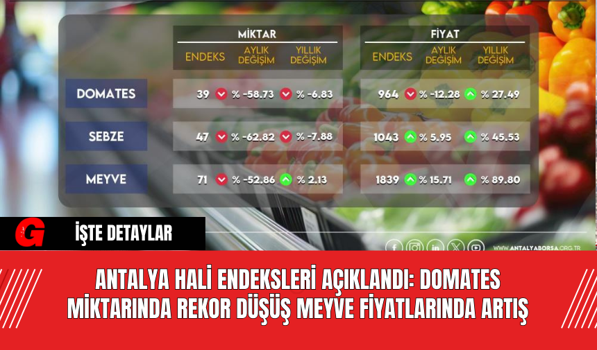 Antalya Hali Endeksleri Açıklandı: Domates Miktarında Rekor Düşüş, Meyve Fiyatlarında Artış