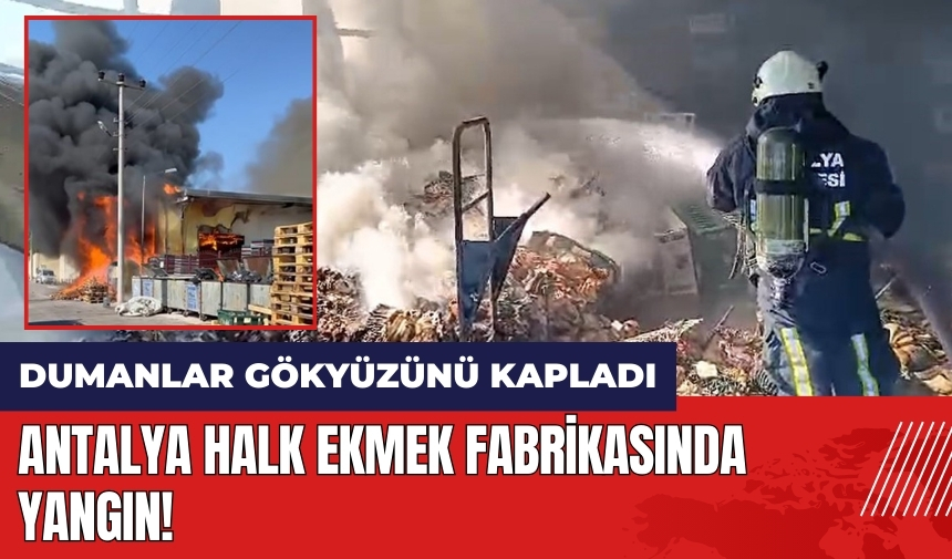 Antalya Halk Ekmek fabrikasında yangın!