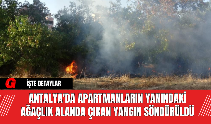 Antalya'da Apartmanların Yanındaki Ağaçlık Alanda Çıkan Yangın Söndürüldü