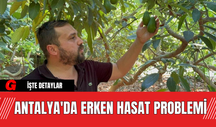 Antalya'da Erken Hasat Problemi