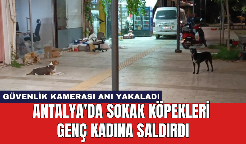 Antalya'da sokak köpekleri genç kadına saldırdı