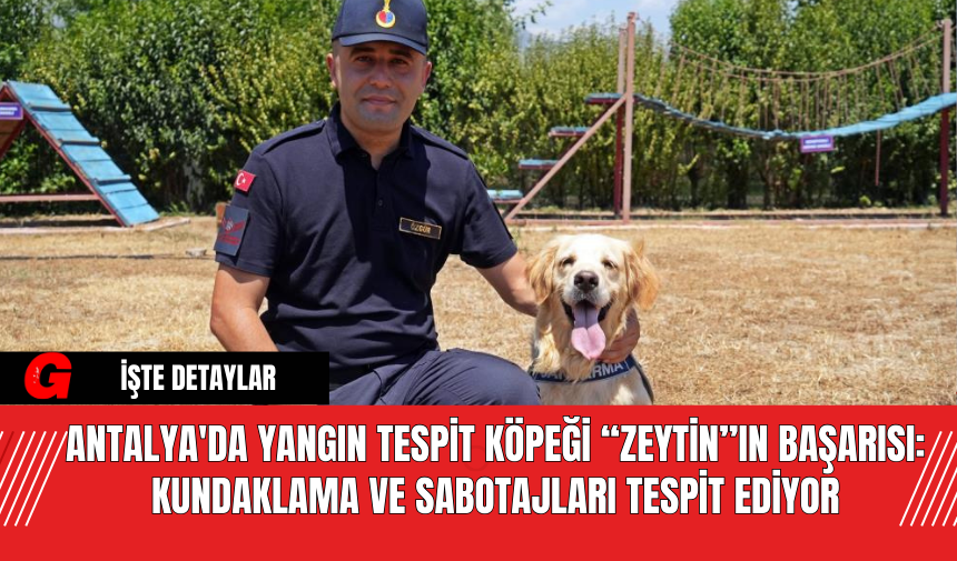 Antalya'da Yangın Tespit Köpeği “Zeytin”ın Başarısı: Kundaklama ve Sabotajları Tespit Ediyor